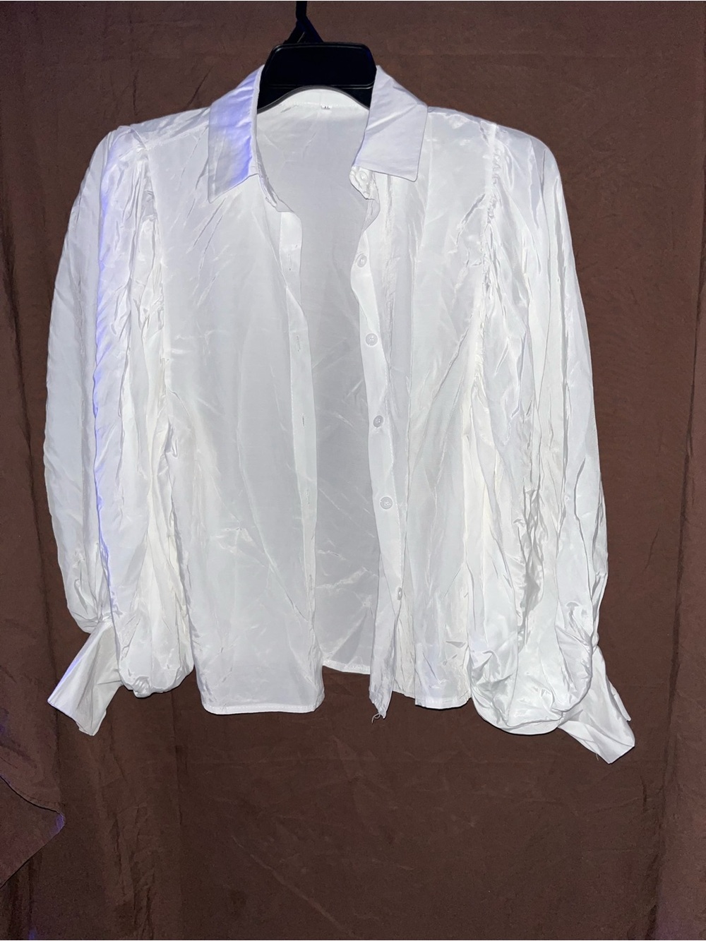 Sheer White Long-Sleeve Button Front Blouse with Statement Puff Sleeve.